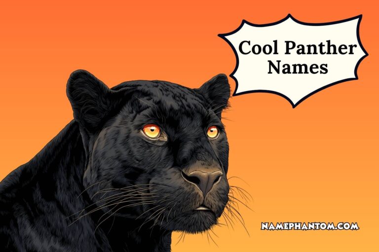 cool panther names