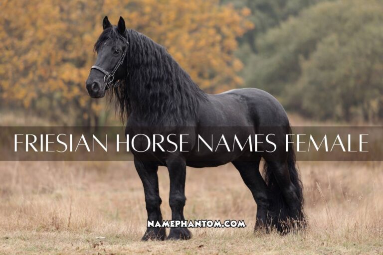 friesian horse names female