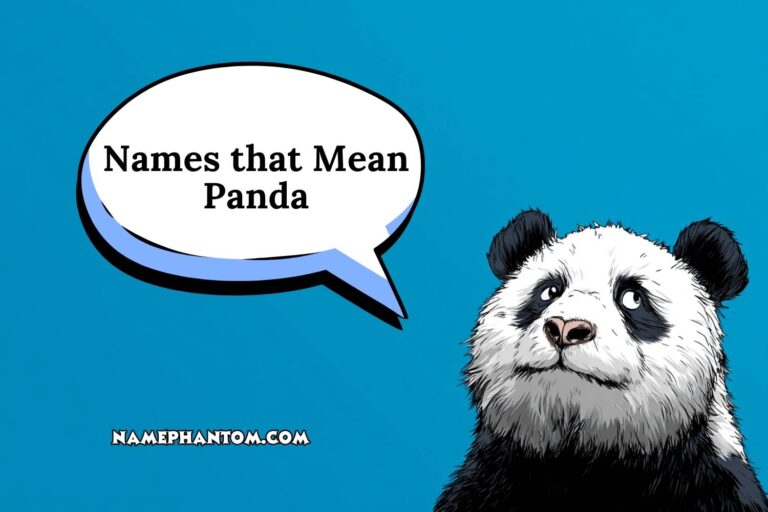 names that mean panda