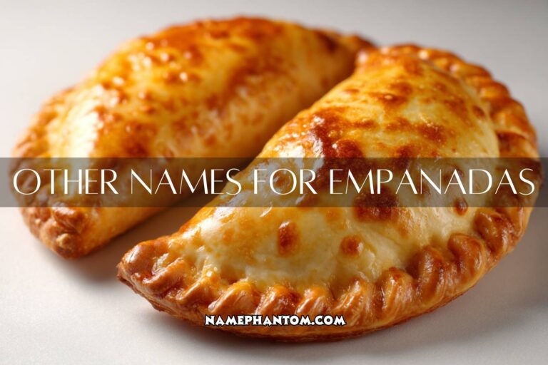 other names for empanadas