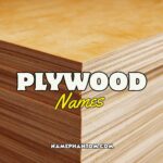 plywood names