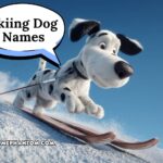 skiing dog names