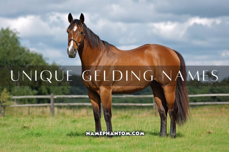 unique gelding names